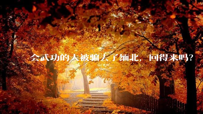 会武功的人被骗去了缅北，回得来吗？